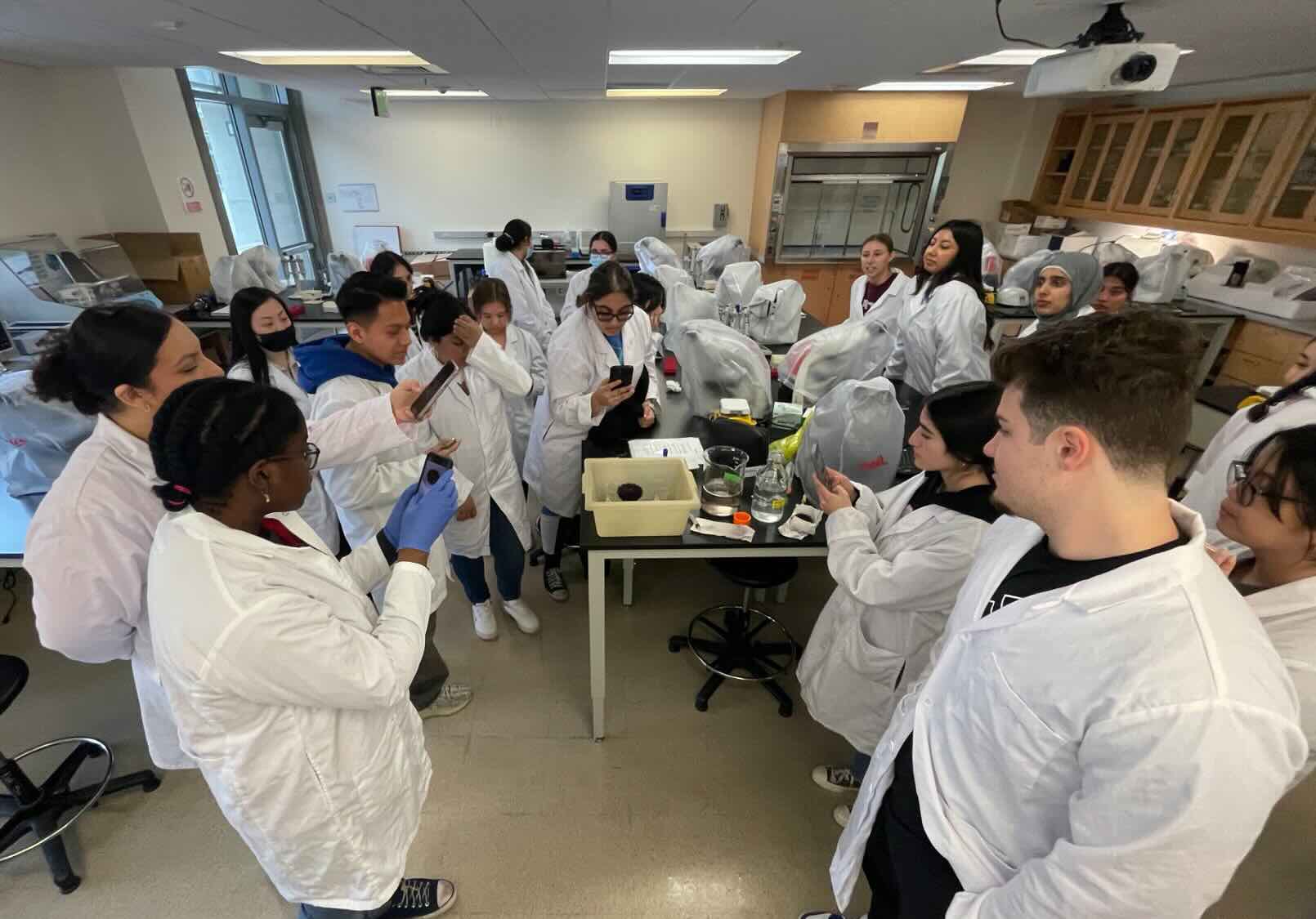 Sea urchin spawning demonstration in BIO 150